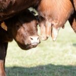 19144056_1868406593421912_4466088691486160278_o