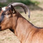 19243193_1868406153421956_8378506067041883878_o