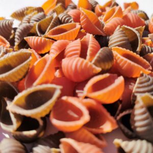 Conchiglie Gourmandes Tomate Basilic 500g