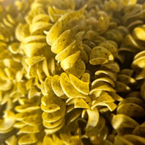 Fusilli Gourmandes Ail des Ours 300g