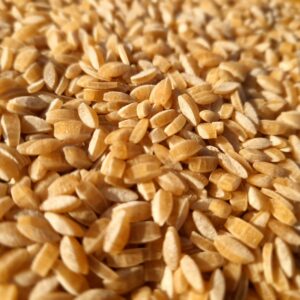Risoni Rustiques Blé Complet 500g