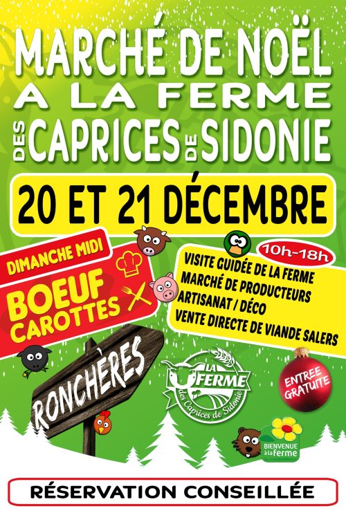 AFFICHE MARCHE DE NOEL (1)