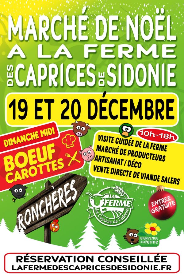AFFICHE-MARCHE-DE-NOEL-WEB